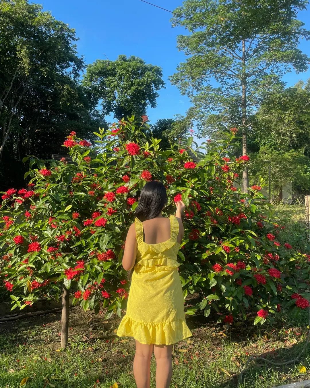 if summer was a dress