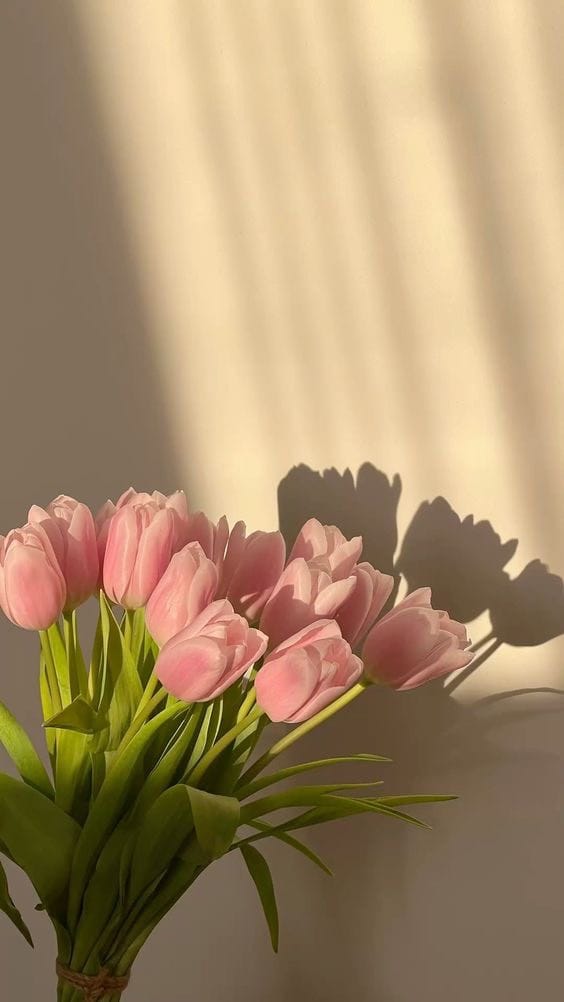 My brain plays this princess anthem whenever i wear maxi dress🤍✨ comment for links