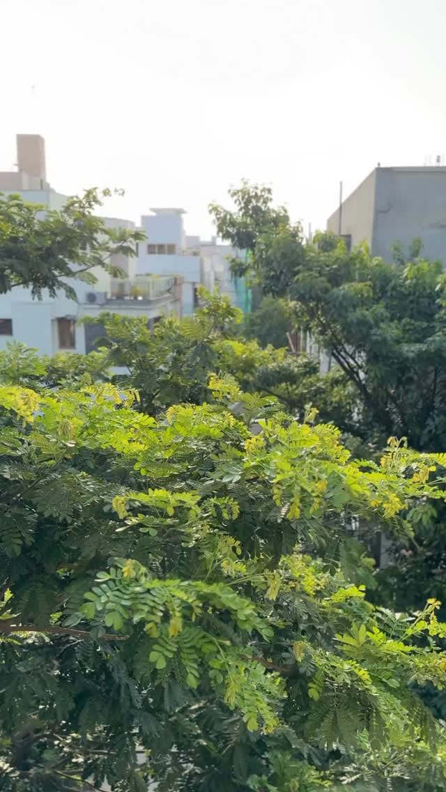 Minivlog #335 | what’s your favourite? | #mrswolften 
.
#minivlog #minivlogamala #minivlogseries