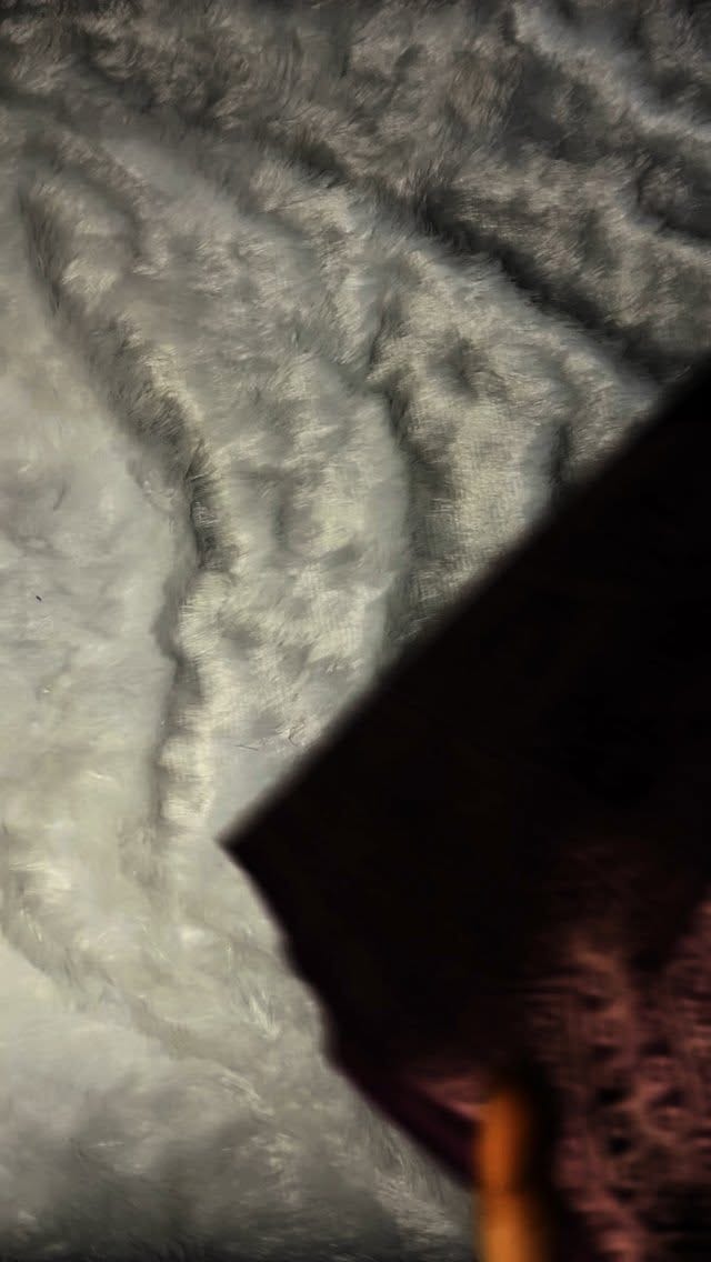 Best outfit for varalaxmi vratham🫶❤️
#trendingreels #viral #viralreels❤️ #reelitfeelit #reelkarofeelkaro❤ #varalaxmivaratham #sravanamasam #ethinic #ethinicoutfit #budgetfriendlyfashion #meesho #meeshosaree #meeshoapp #meeshohaul❤️