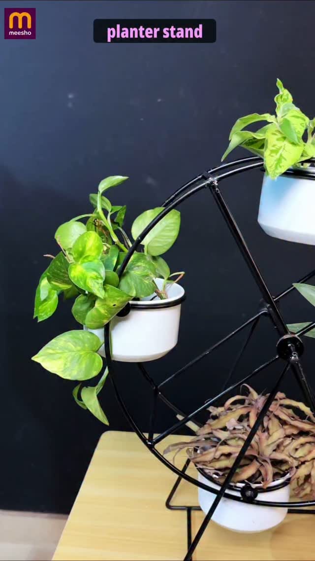 Comment "Link" to get link your DM.
[ instagram, viral reels, reels viral, must haves, home must have, meesho, meesho finds, meesho must have, planter, garden planter, planter stand, garden, gardening]
@meeshoapp
#instagramhub #instagramreels #reelsvideo #reelsviral #meesho #meeshofinds2024❤️ #meeshomusthave #meeshomusthaves #planter #planters #planterideas #gardeninglife #gardeningtips