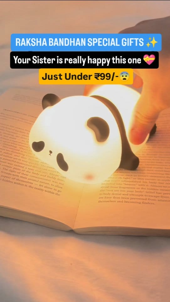 Panda lamp