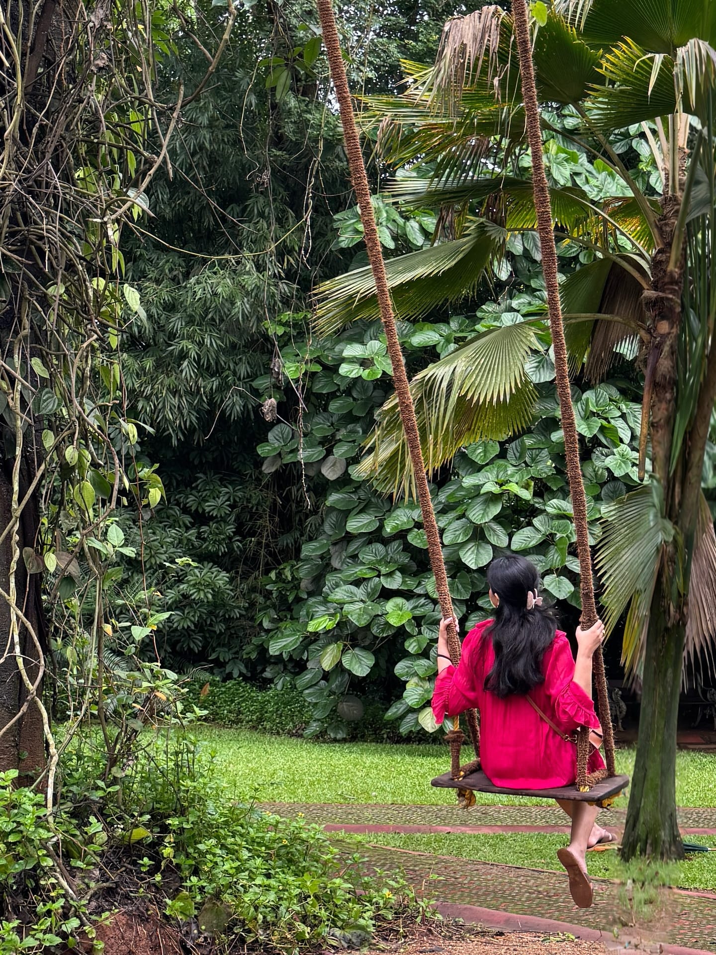 propaganda i’m falling for: india is beautiful 🌱