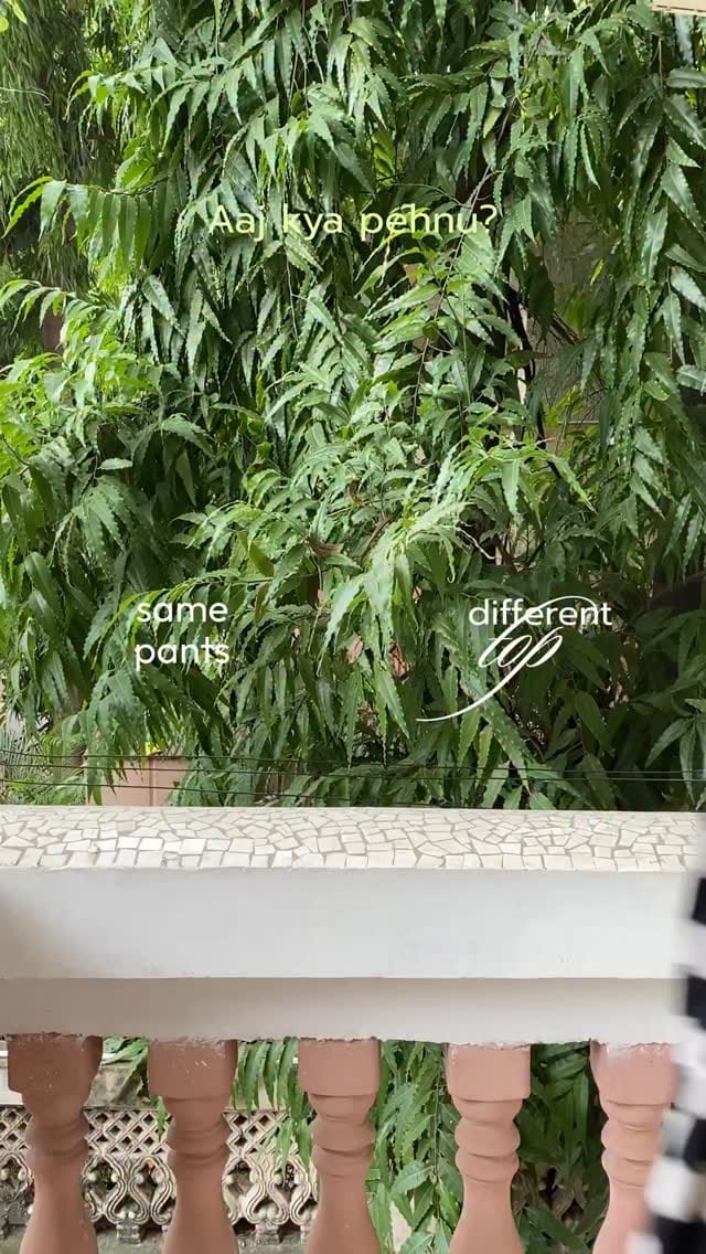 just a CA article dressed up better than CA’s in my office🙊 
Pants: @hm 
Top: @myntra 
🔔comment “link” for links🫰🏻✨
.
.
.
.
.
#AajOfficeKyaPehnu #GRWMForWork #CAArticleship #IndianOfficeStyle #SimpleWorkFits #ArticleshipDiaries #ModestFashionInspo #EverydayOfficeLooks #explorepage✨ #trendingreelsindia #fyppppppp