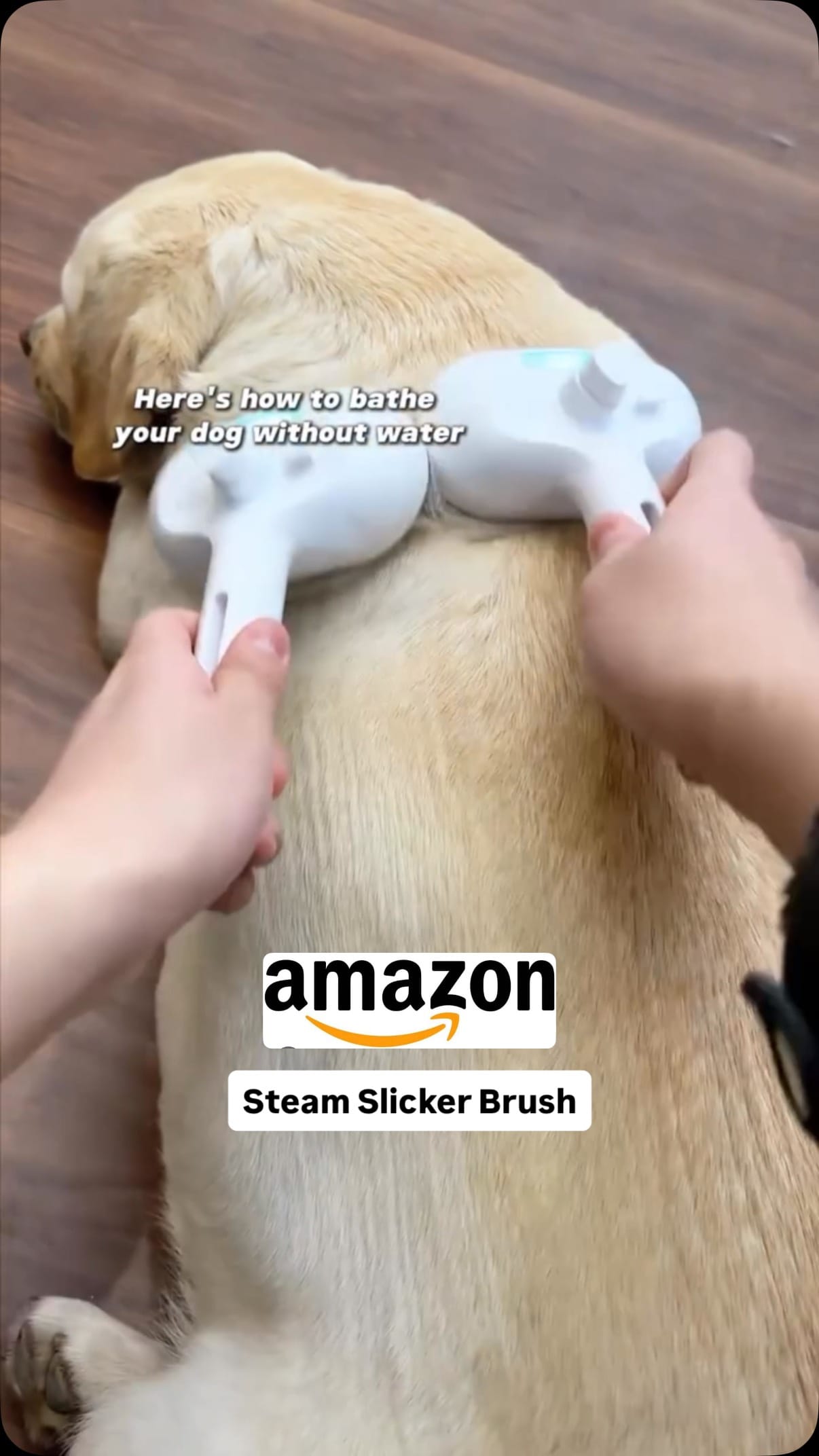 Steam Slicker Brush