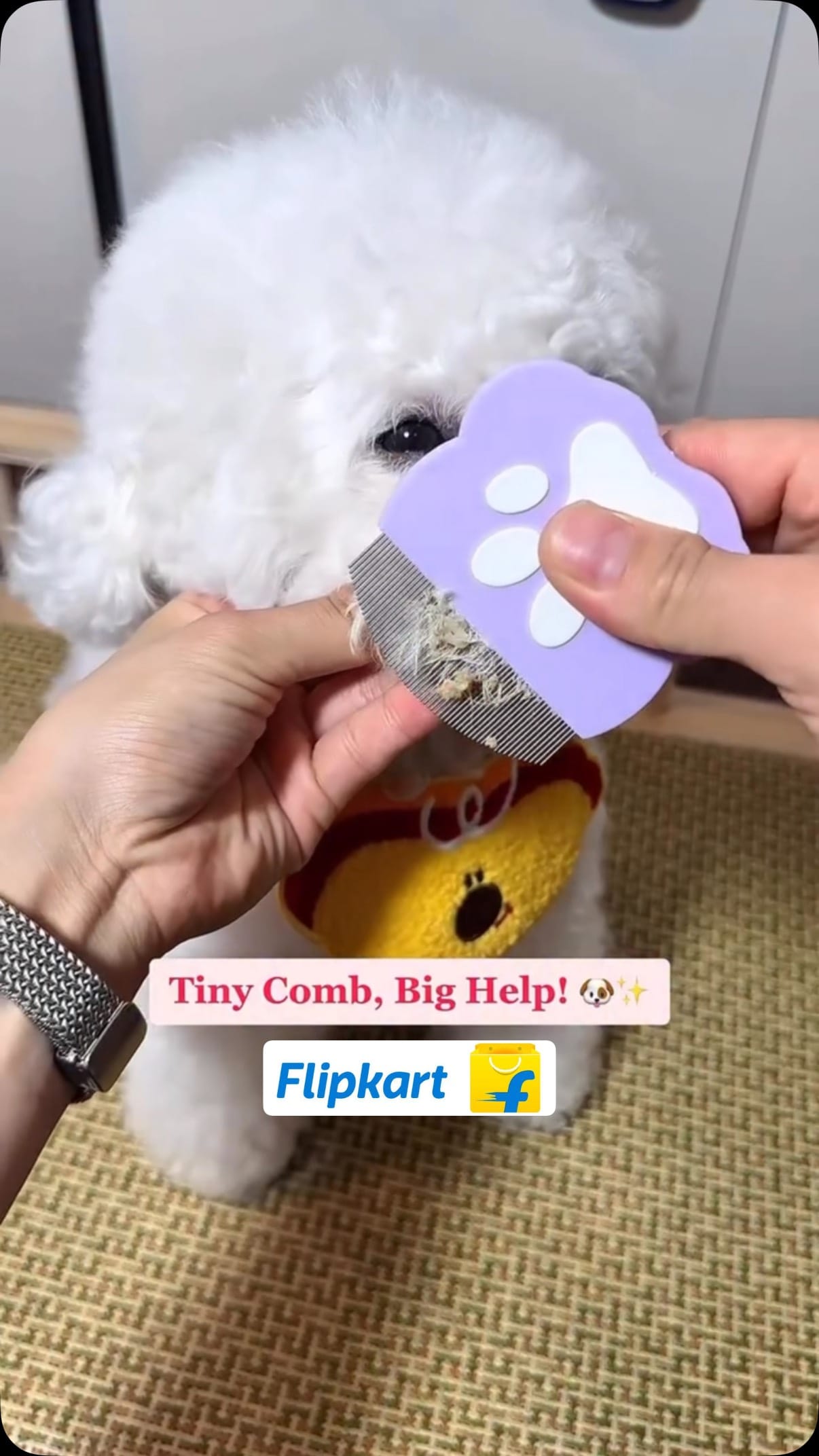 Flea comb