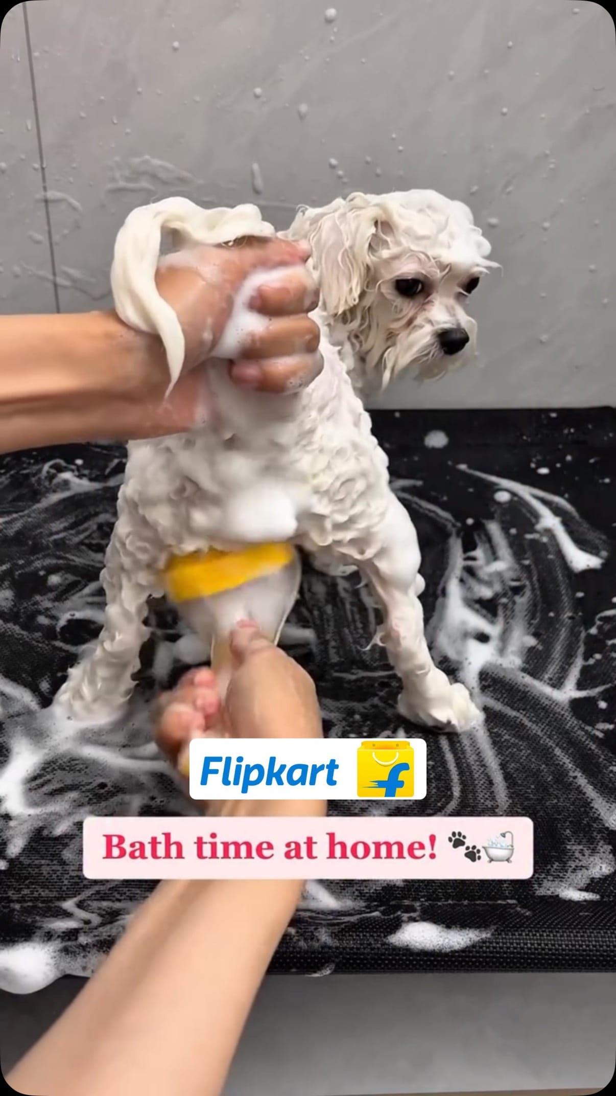 Pet Bath Brush