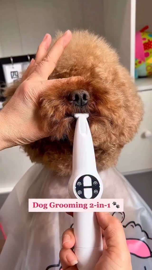 Follow & Comment for links 🔗 
Dog Trimmer & Nail Grinder
#petproducts #smalldogs #petgrooming #musthave