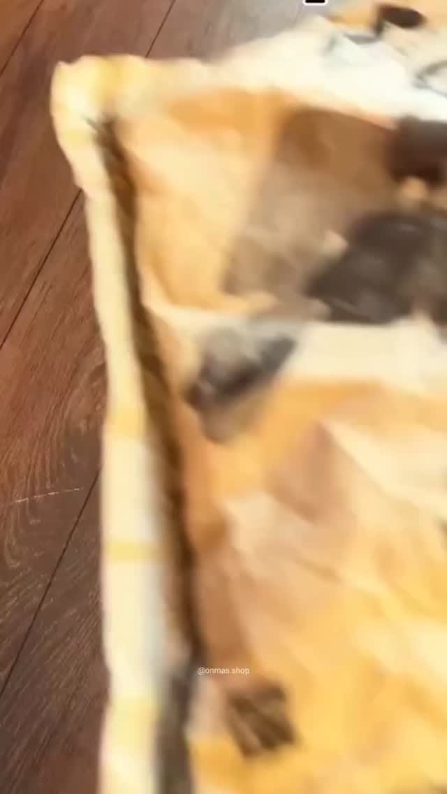 Comment “Link” to get the links🔗
Save & Share!
Do Follow me for more😍
#mensfashion #menstyle #menwithstyle #menwithclass #menswear #fashionformen #trendyfashion 
#oldmoneystyle #oldmoney #trendylook #musthave #linenshirt #shirts #dailywear #ootd #collegewear #officewear #explorepage #viralreels #viral